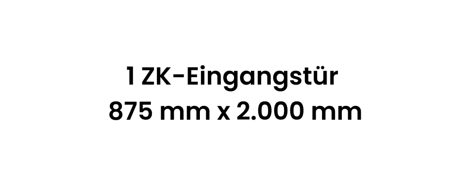 1 ZK-Eingangstür 875 mm x 2.000 mm